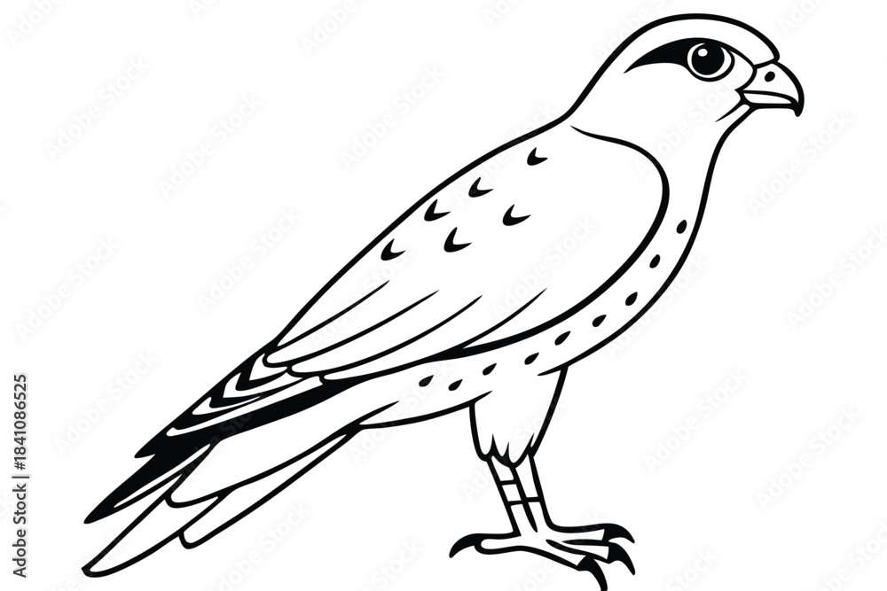 Fototapeta premium kestrel silhouette line art vector illustration with a white background