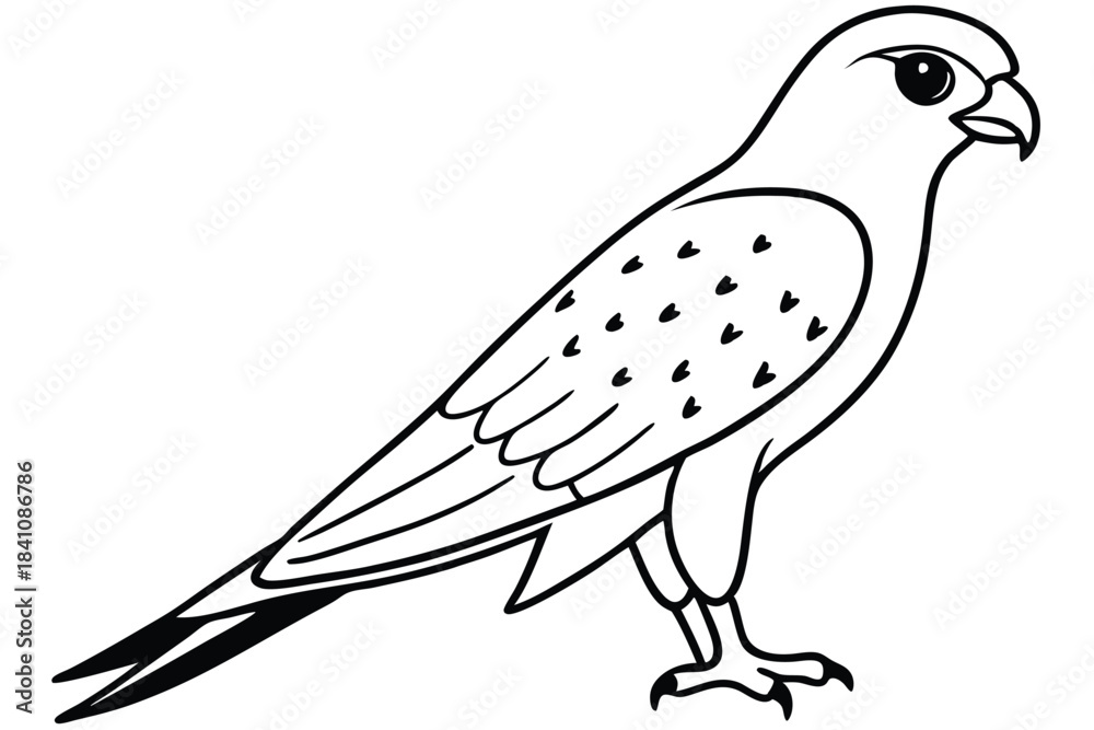 Fototapeta premium kestrel silhouette line art vector illustration with a white background