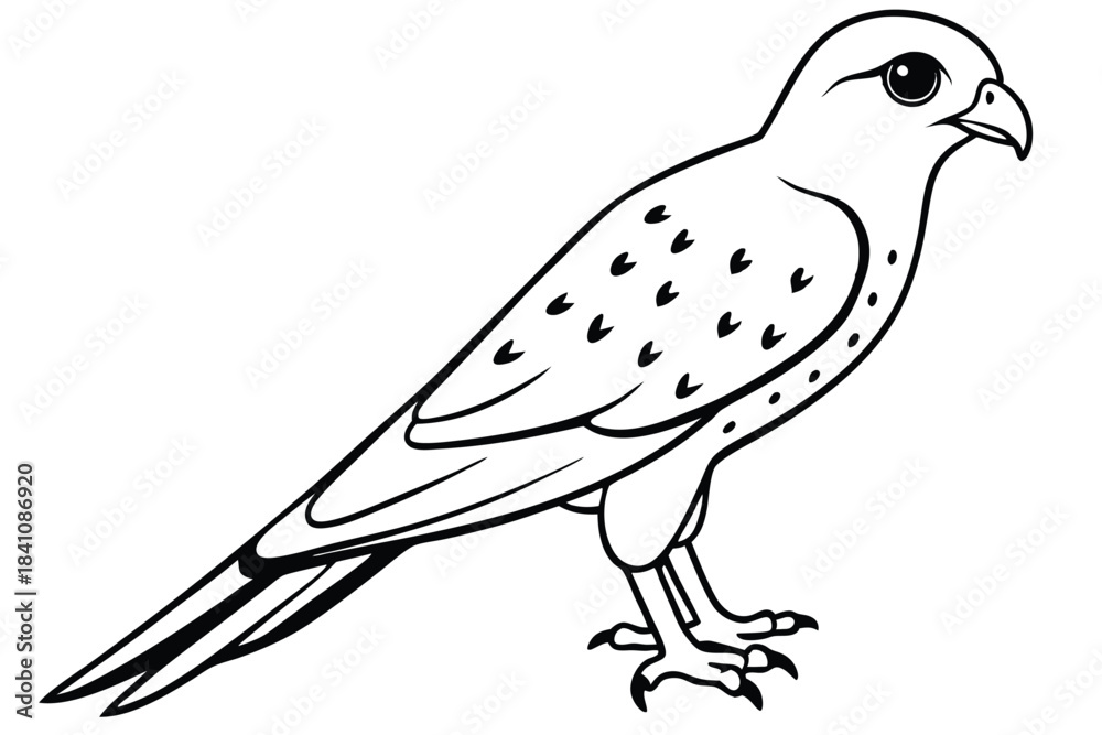 Fototapeta premium kestrel silhouette line art vector illustration with a white background