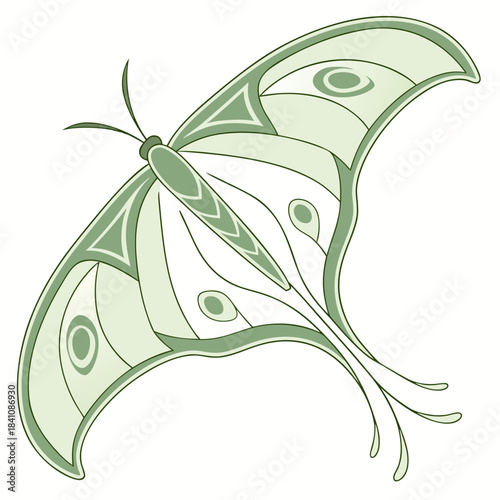 Elegant Luna Moth Illustration: A graceful luna moth, with its delicate wings and subtle hues, takes flight against a simple backdrop, capturing the beauty of nature's design.