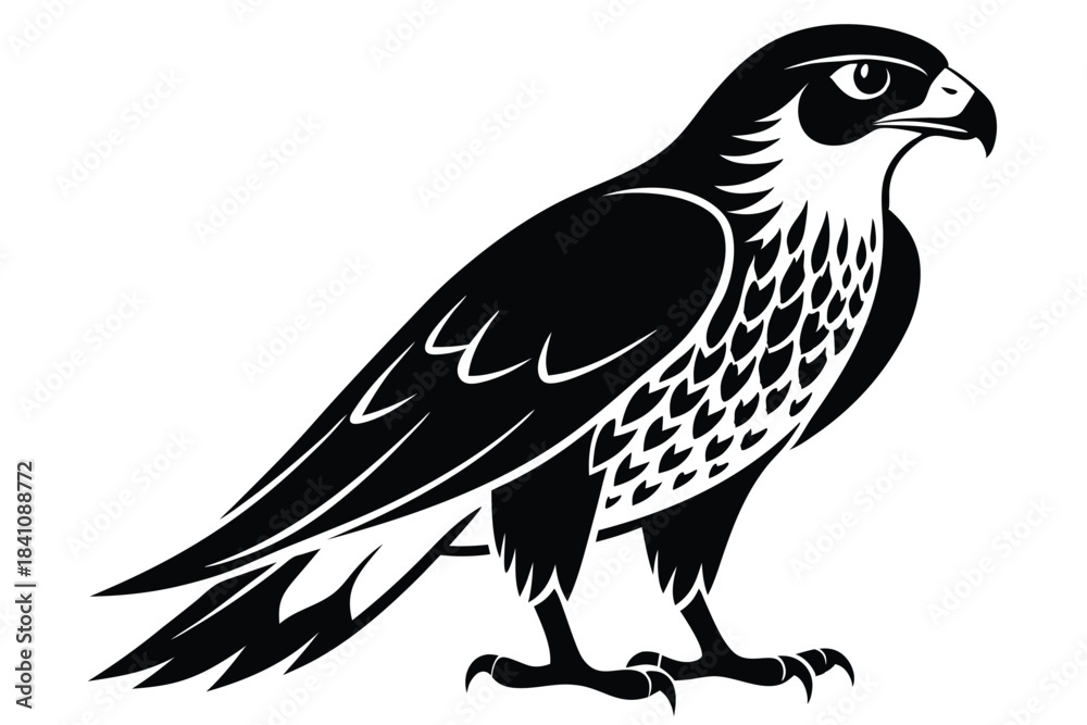 Fototapeta premium hawk silhouette line art vector illustration with a white background
