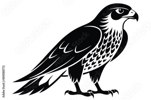 hawk silhouette line art vector illustration with a white background