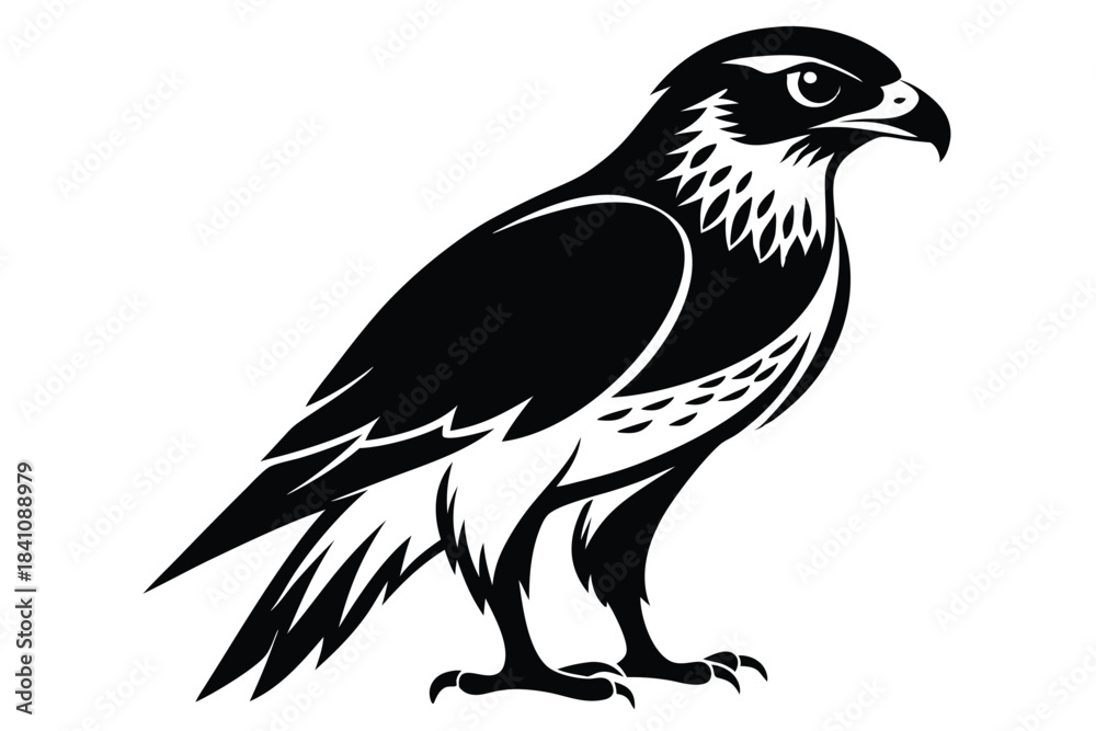 Fototapeta premium hawk silhouette line art vector illustration with a white background