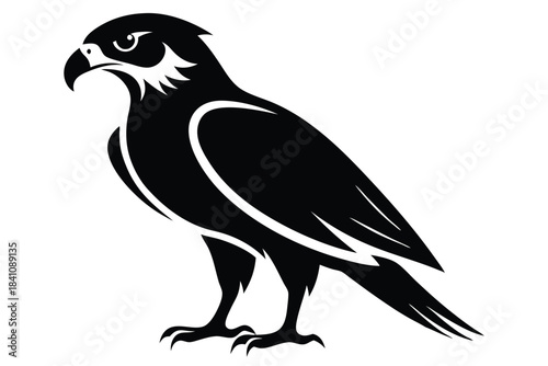 hawk silhouette line art vector illustration with a white background