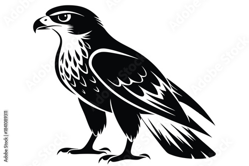 hawk silhouette line art vector illustration with a white background