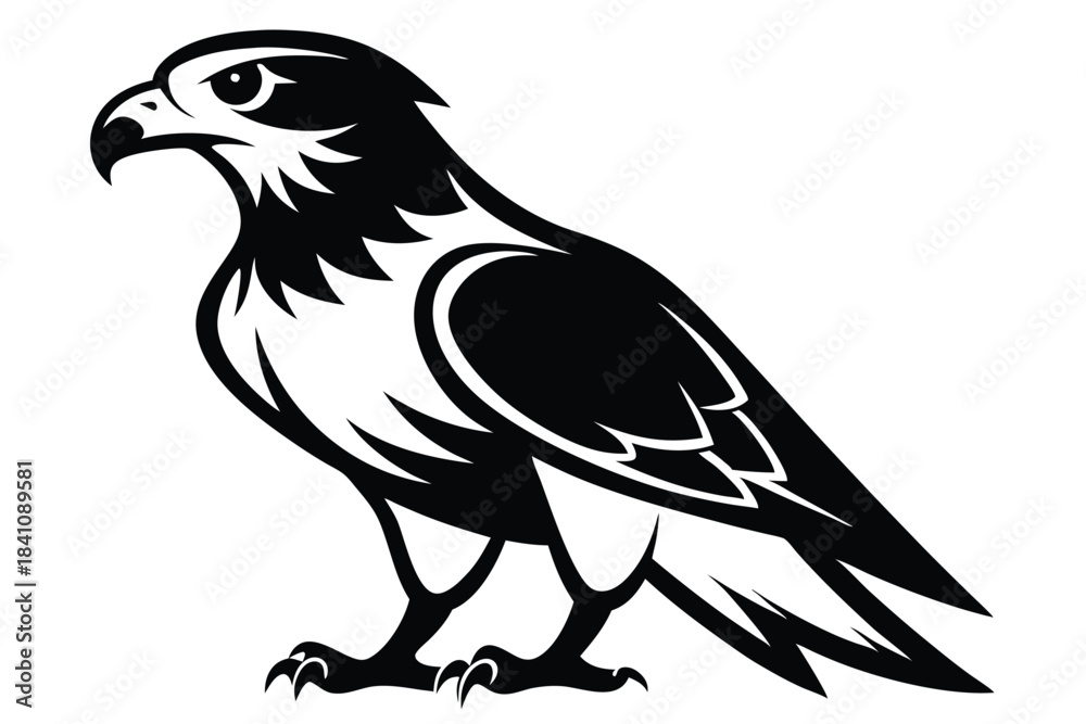 Fototapeta premium hawk silhouette line art vector illustration with a white background