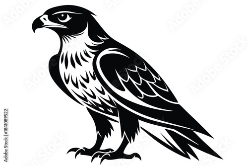 hawk silhouette line art vector illustration with a white background