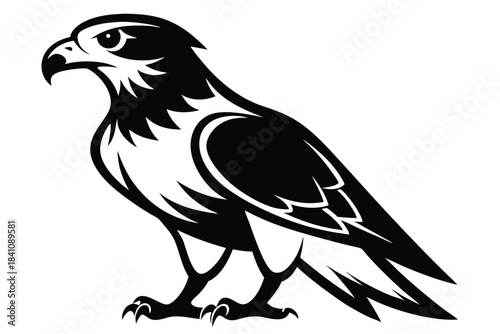 hawk silhouette line art vector illustration with a white background