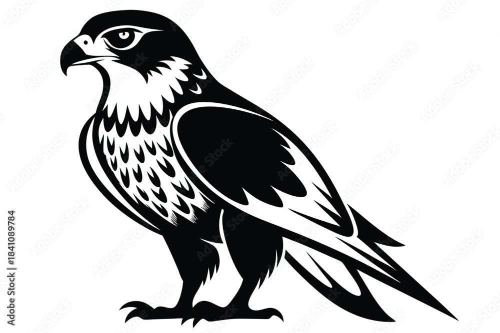 Fototapeta premium hawk silhouette line art vector illustration with a white background