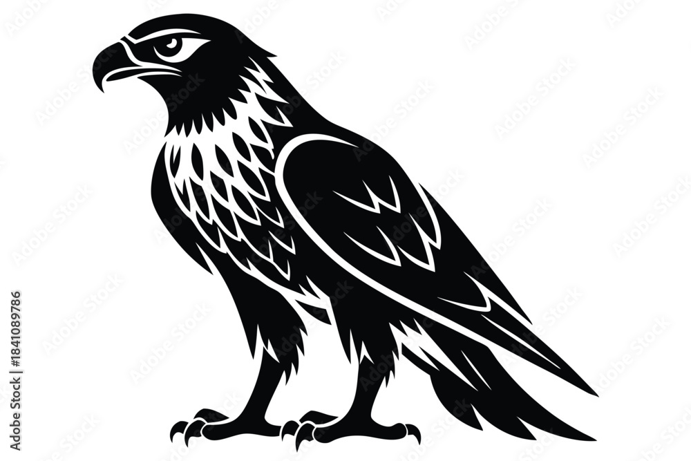 Fototapeta premium hawk silhouette line art vector illustration with a white background