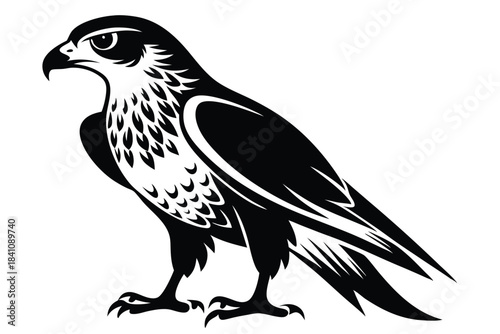 hawk silhouette line art vector illustration with a white background