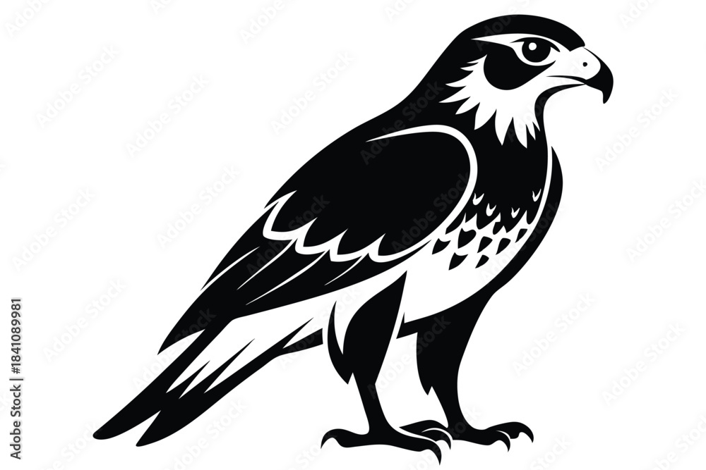 Fototapeta premium hawk silhouette line art vector illustration with a white background