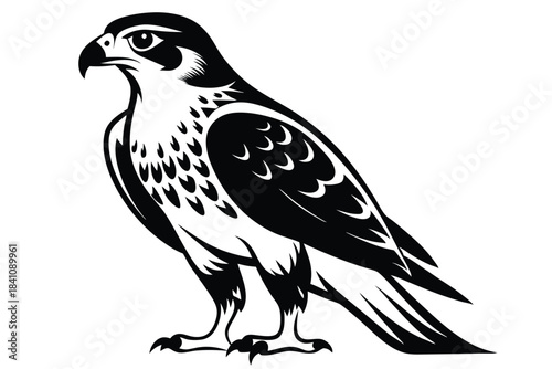 hawk silhouette line art vector illustration with a white background