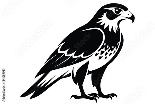 hawk silhouette line art vector illustration with a white background
