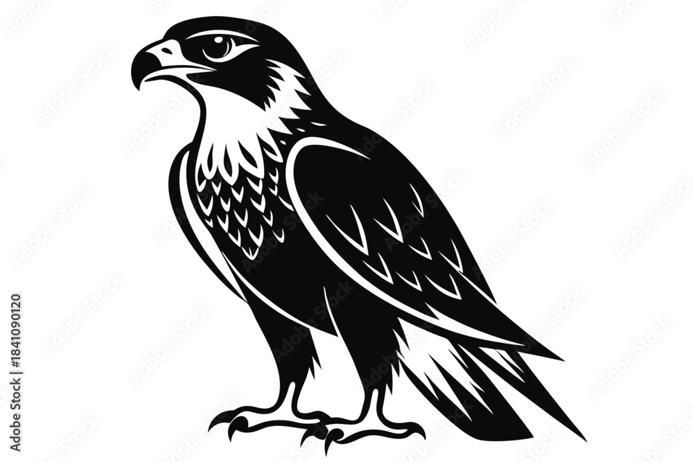 Fototapeta premium hawk silhouette line art vector illustration with a white background