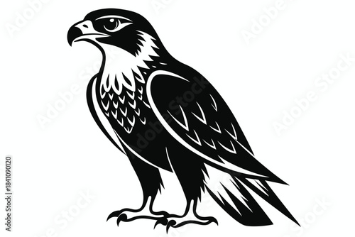 hawk silhouette line art vector illustration with a white background