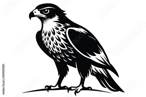 hawk silhouette line art vector illustration with a white background