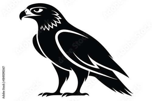 hawk silhouette line art vector illustration with a white background