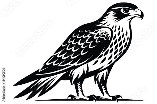 hawk silhouette line art vector illustration with a white background