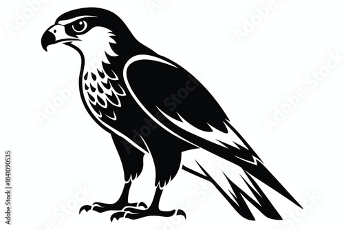 hawk silhouette line art vector illustration with a white background
