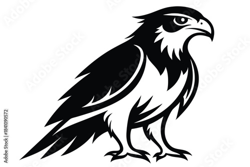 hawk silhouette line art vector illustration with a white background