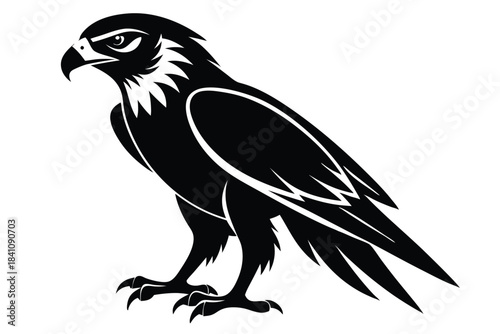 hawk silhouette line art vector illustration with a white background