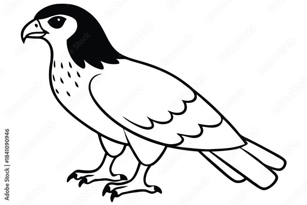 Fototapeta premium hawk silhouette line art vector illustration with a white background