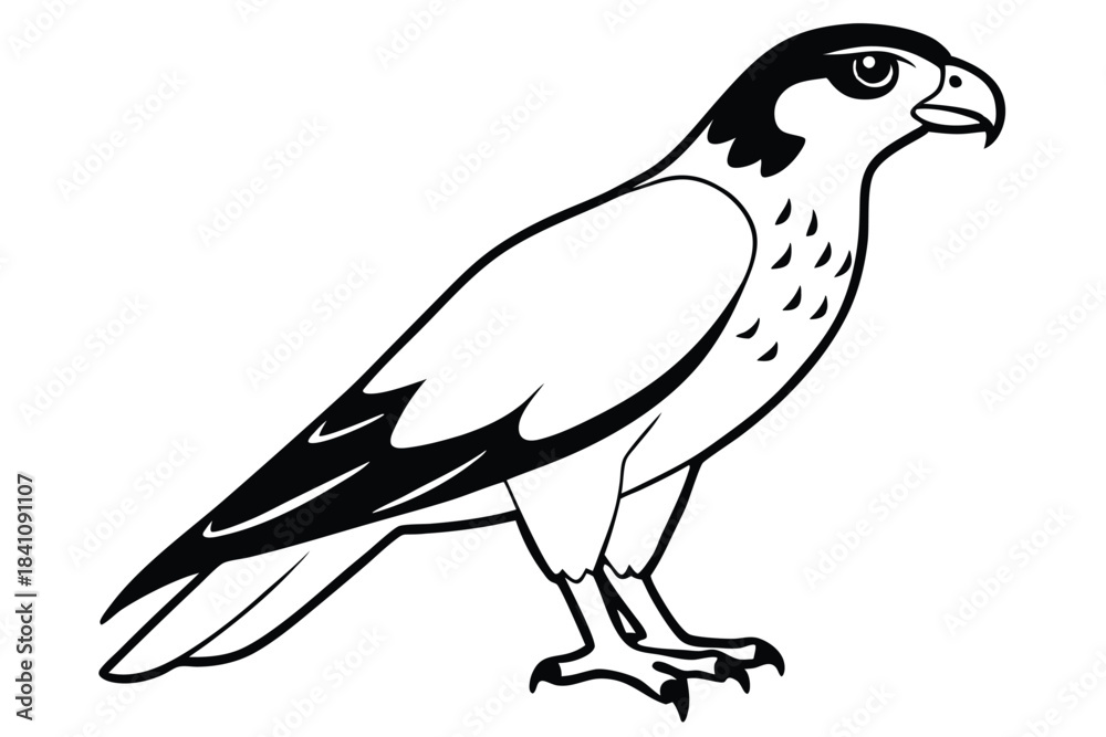 Fototapeta premium hawk silhouette line art vector illustration with a white background