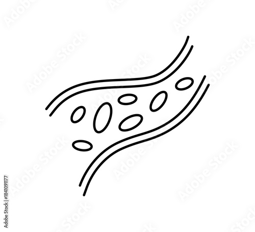 Blood vessel line icon. Human artery and vein symbol. Blood hemoglobin sign. Healthy heart system control. Healthy vessel icon. Vector illustration isolated on white background.