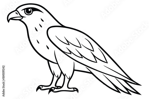 hawk silhouette line art vector illustration with a white background