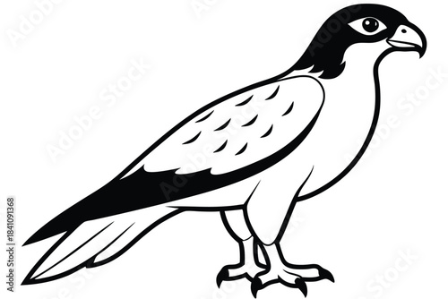 hawk silhouette line art vector illustration with a white background