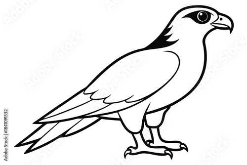 hawk silhouette line art vector illustration with a white background