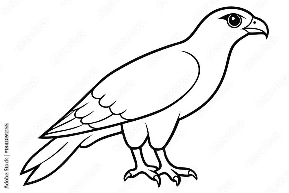 Obraz premium hawk silhouette line art vector illustration with a white background