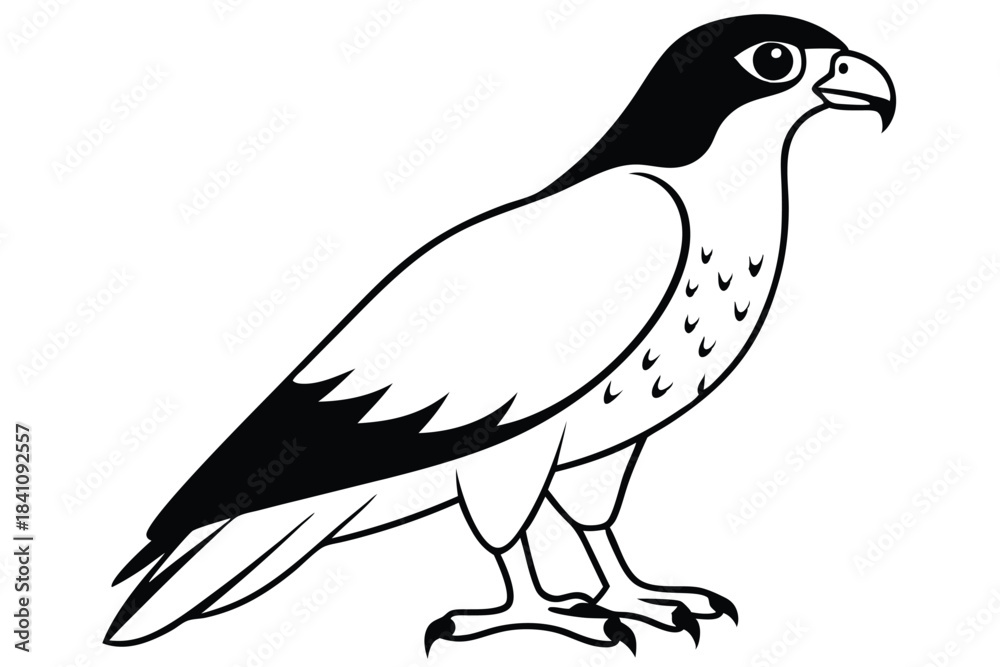 Obraz premium hawk silhouette line art vector illustration with a white background