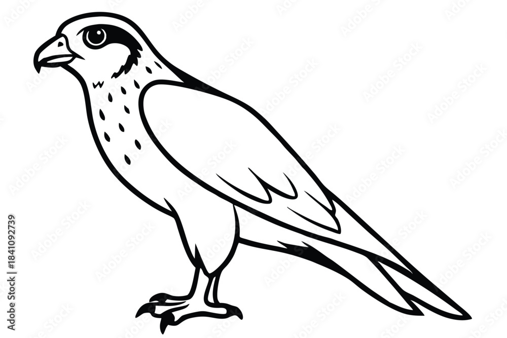 Obraz premium hawk silhouette line art vector illustration with a white background