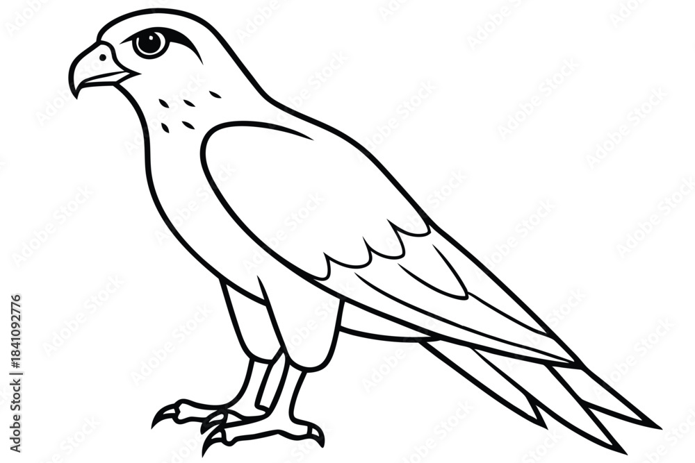 Obraz premium hawk silhouette line art vector illustration with a white background