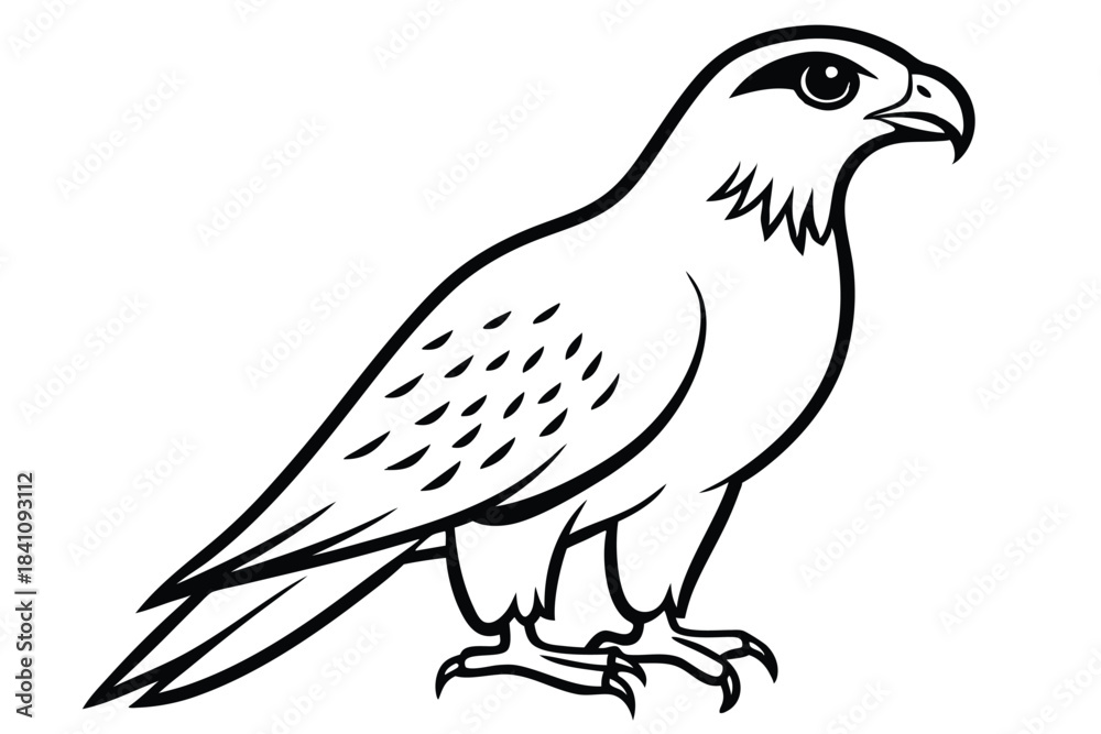 Obraz premium hawk silhouette line art vector illustration with a white background
