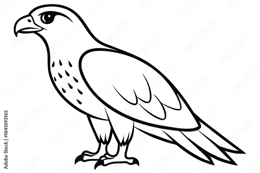 Obraz premium hawk silhouette line art vector illustration with a white background