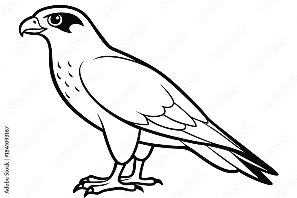 Obraz premium hawk silhouette line art vector illustration with a white background