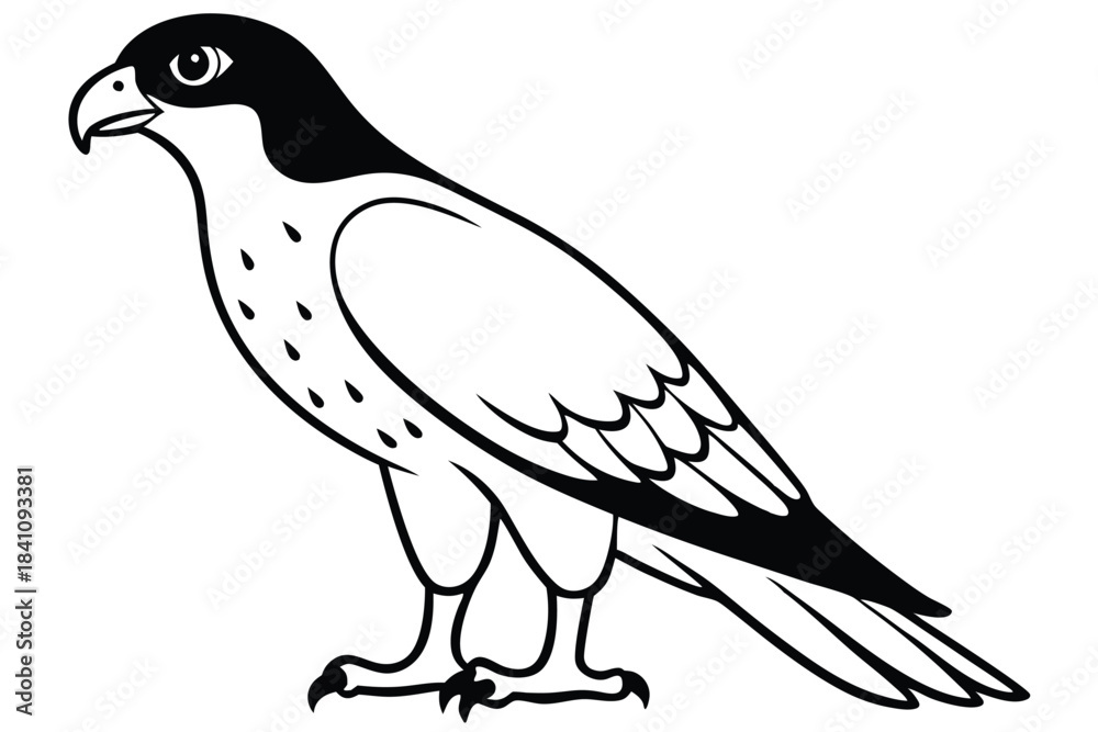 Obraz premium hawk silhouette line art vector illustration with a white background