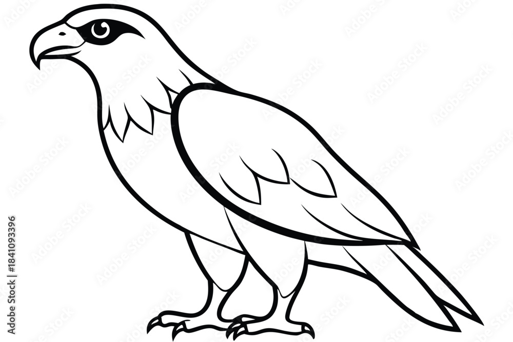 Obraz premium hawk silhouette line art vector illustration with a white background