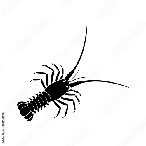 Lobster Illustration