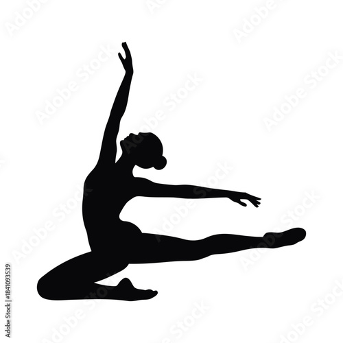 Graceful Ballet Dancers Silhouette - Elegant Female Ballerina Dance Vector Art silhouette of dynamic elegance ballet dancer leap silhouette of dynamic elegance ballet dancer leap Vector Design 