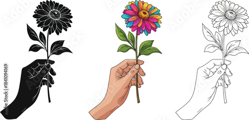 Hand holding a vibrant multicolored gerbera daisy presented in three distinct artistic styles for versatile design use