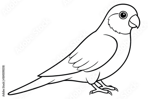 lovebird silhouette line art vector illustration with a white background