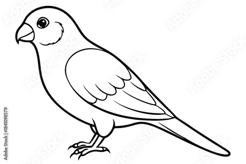 lovebird silhouette line art vector illustration with a white background