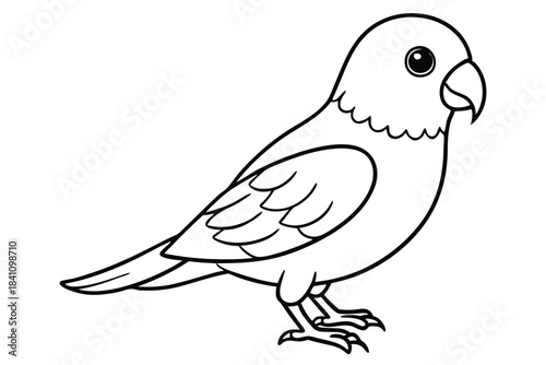 lovebird silhouette line art vector illustration with a white background