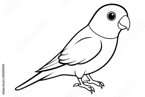 lovebird silhouette line art vector illustration with a white background
