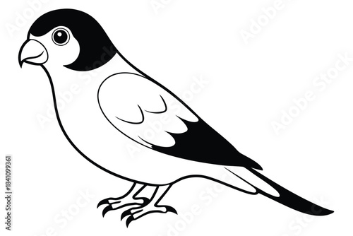 lovebird silhouette line art vector illustration with a white background