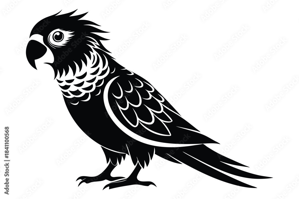 Obraz premium lorikeet silhouette line art vector illustration with a white background